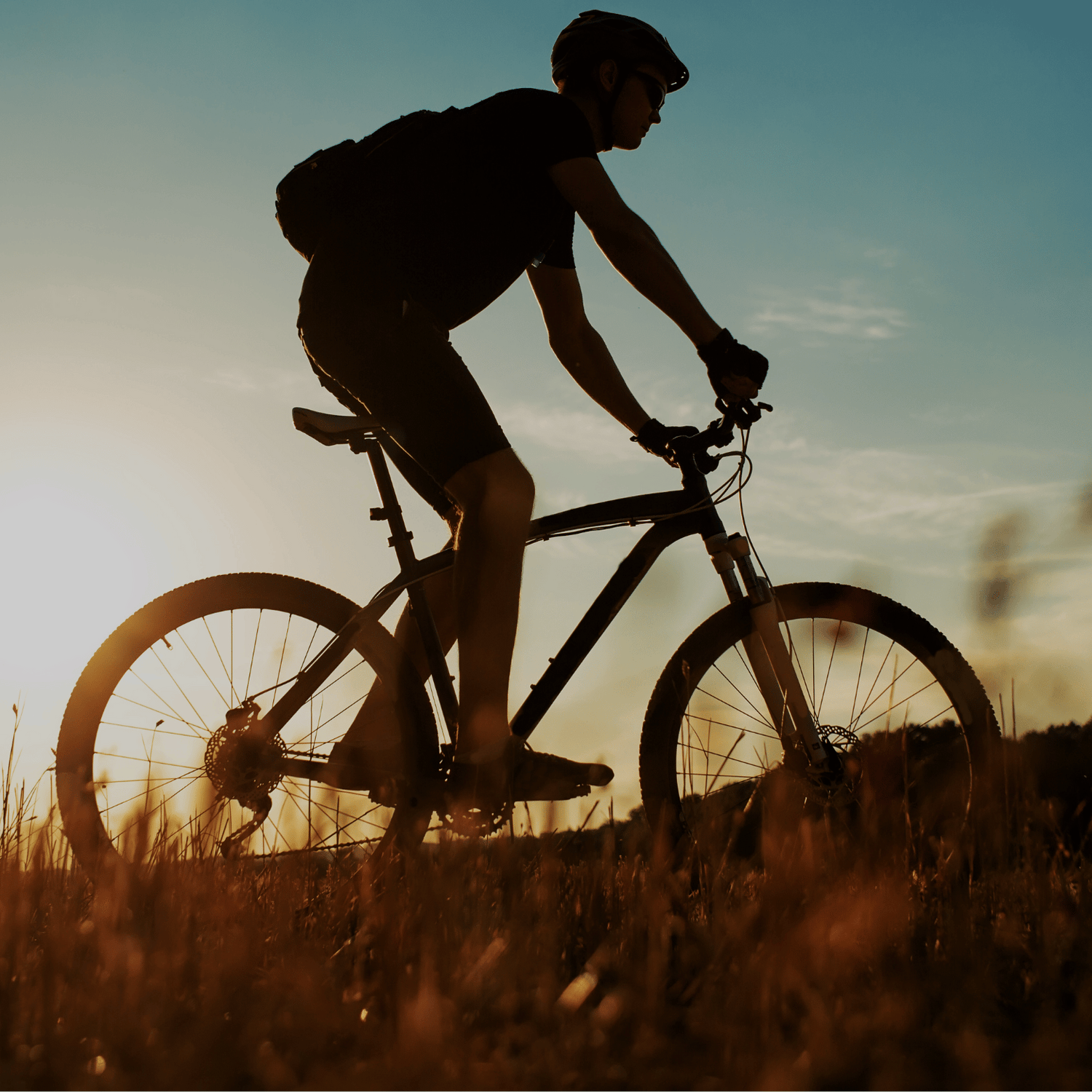 Bicicletas & Scooters